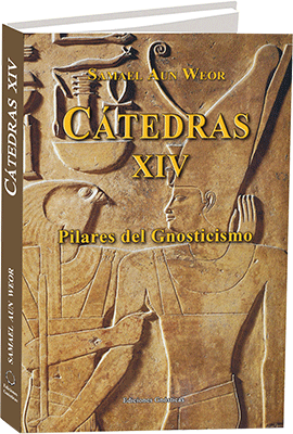 Libro Cátedras 14 - Pilares del Gnosticismo