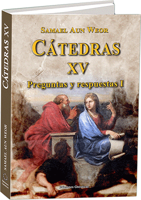 Libro Cátedras 15 - Preguntas y respuestas I